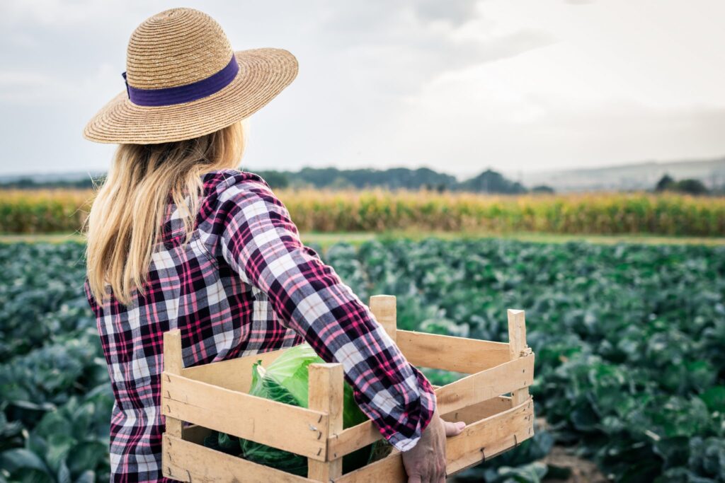 mulheres-no-agro