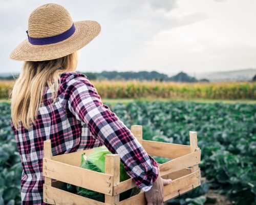 mulheres-no-agro